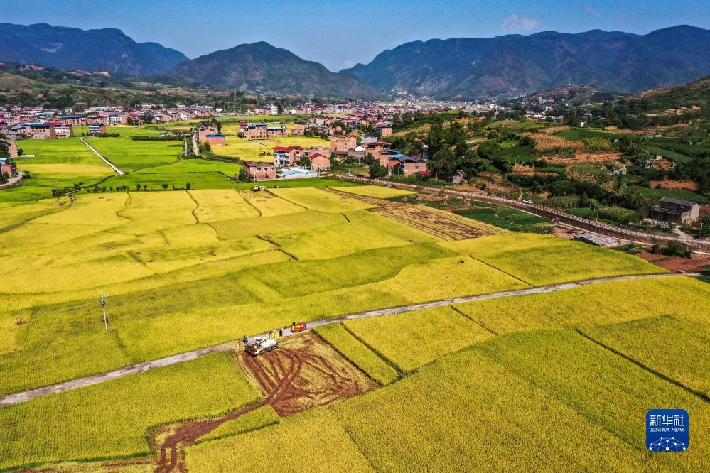 太阳城游戏登录